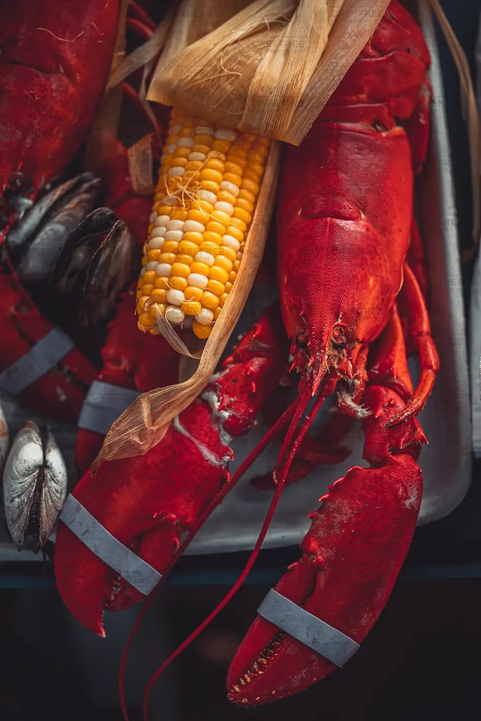 Cabbage Island Steamed Lobster Bake, Boothbay, Maine · United States