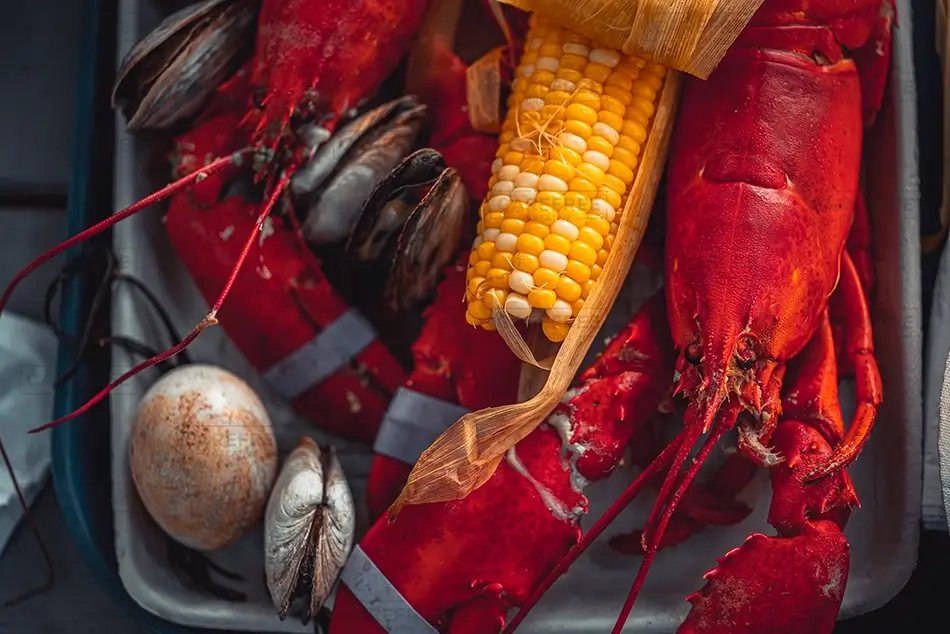 Cabbage Island Lobster Bake Feast, Boothbay, Maine · United States