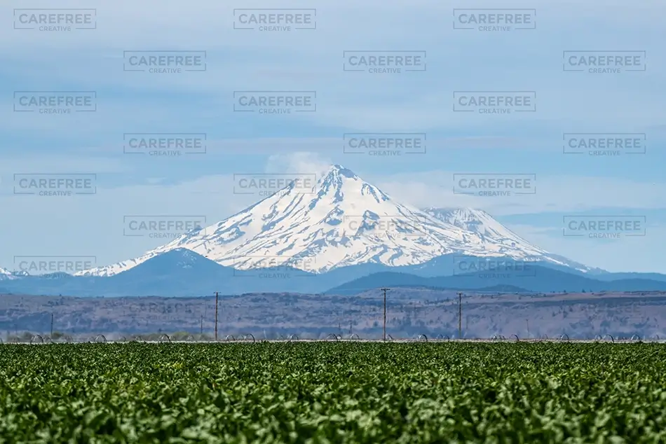 California Majestic Snow Capped Mount Shasta, California · United States