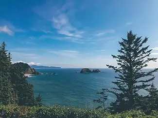 Cape Meares Lighthouse Ocean And Pine, Tillamook, Oregon