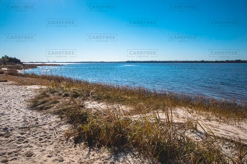 Carolina Beach State Park Coastal Grasslands By Water, Carolina Beach, North Carolina · United States