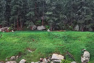 Castlewood Canyon State Park Lush Green Meadow And Forest, Franktown, Colorado