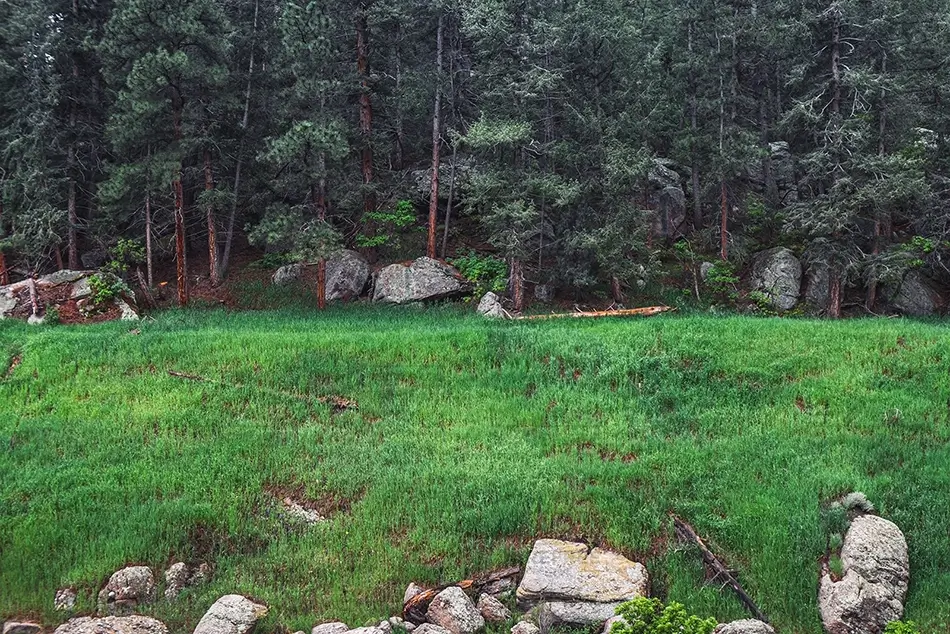 Castlewood Canyon State Park Lush Green Meadow And Forest, Franktown, Colorado · United States