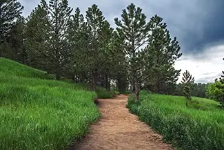 Castlewood Canyon State Park Winding Forest Hiking Trail, Franktown, Colorado