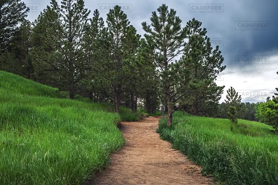 Castlewood Canyon State Park Winding Forest Hiking Trail, Franktown, Colorado · United States