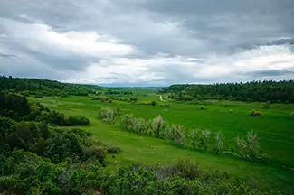 Castlewood Canyon State Park Winding Trail Through Greenery, Franktown, Colorado