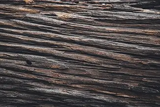 Castlewood Canyon State Park Weathered Dark Wood Texture, Franktown, Colorado