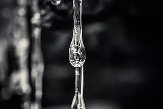 Clifford Park Monochrome Droplet