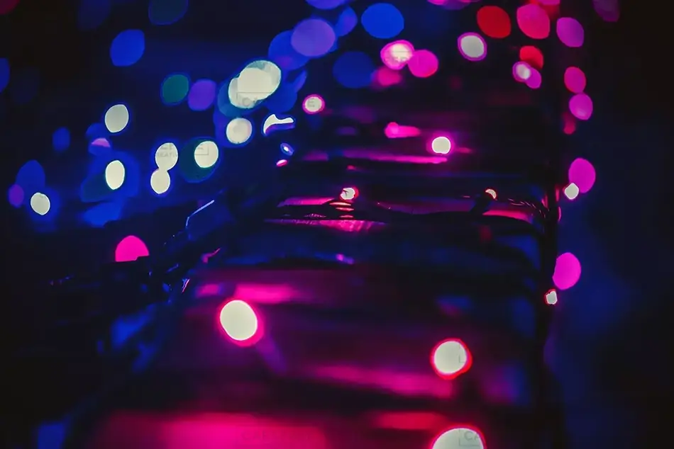 Coastal Maine Botanical Gardens Twilight Spectrum Lights, Boothbay, Maine · United States
