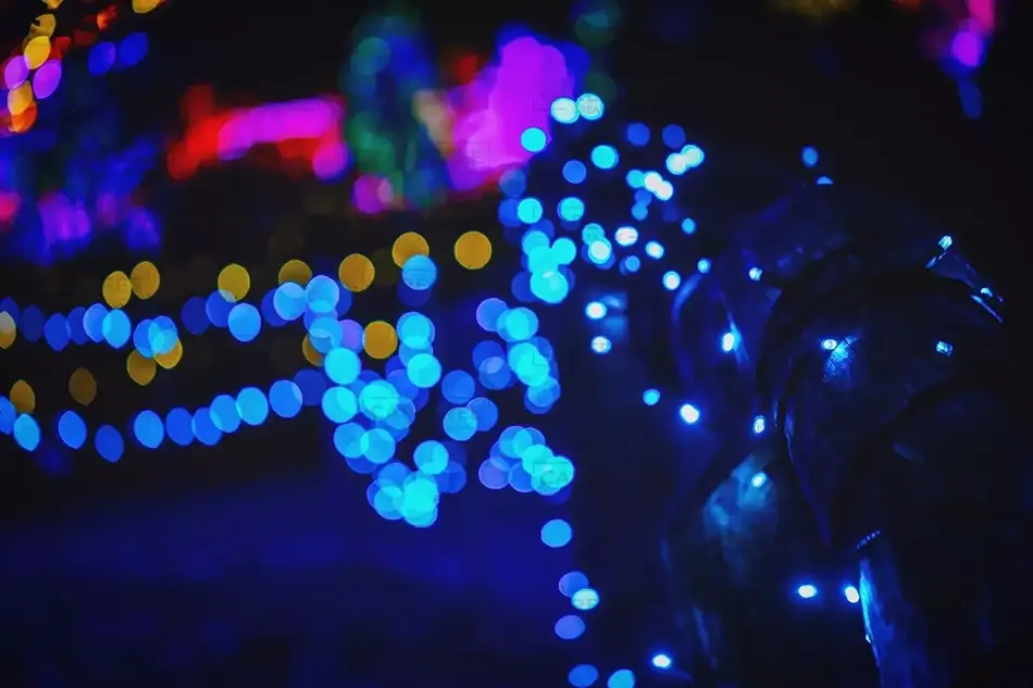 Coastal Maine Botanical Gardens Illuminated Night Posts, Boothbay, Maine · United States