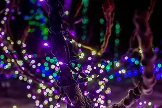 Bokeh
