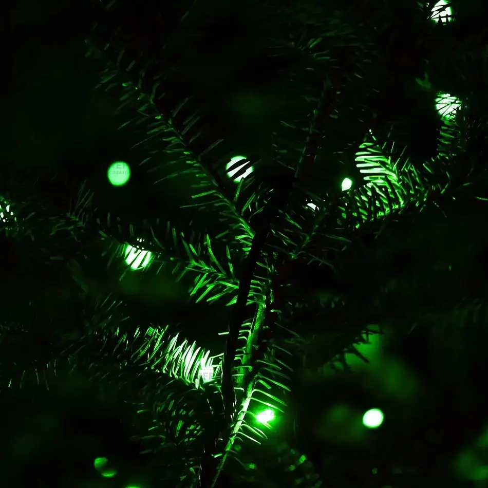 Coastal Maine Botanical Gardens Emerald Glow Amidst A Dark Pine Tree, Boothbay, Maine · United States