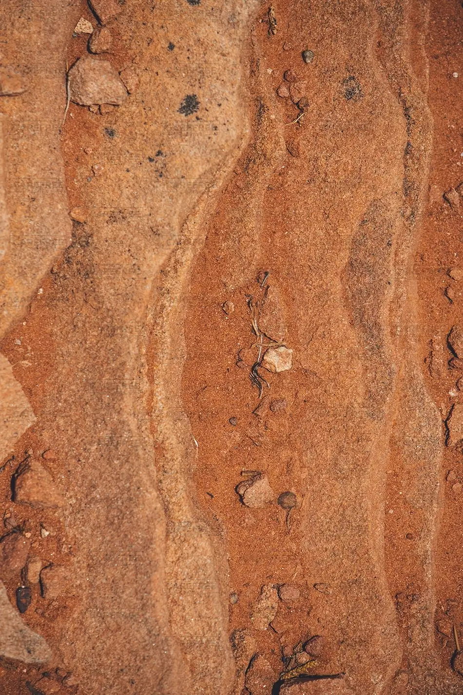 Colorado National Monument Textured Red Rock Surface, Grand Junction, Colorado · United States