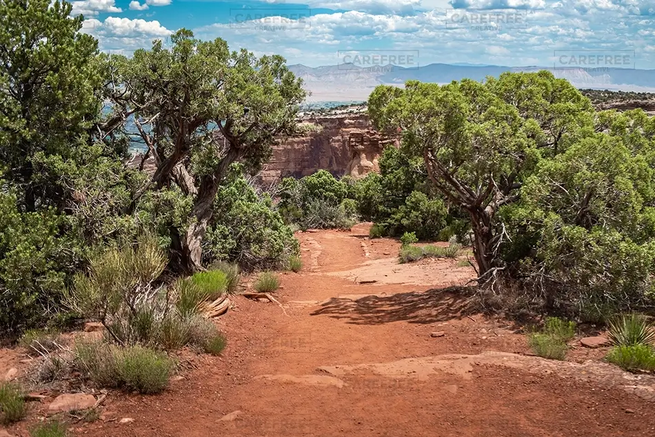 Colorado National Monument Scenic Hiking Trail View, Grand Junction, Colorado · United States