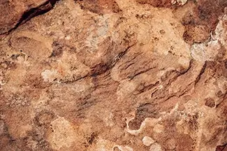 Colorado National Monument Red Sandstone Texture, Grand Junction, Colorado