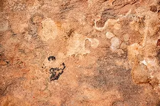 Colorado National Monument Sandstone Rock Texture, Grand Junction, Colorado