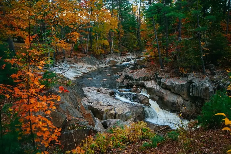 Coos Canyon Waterfall in Autumnal Majesty, Byron, Maine · United States