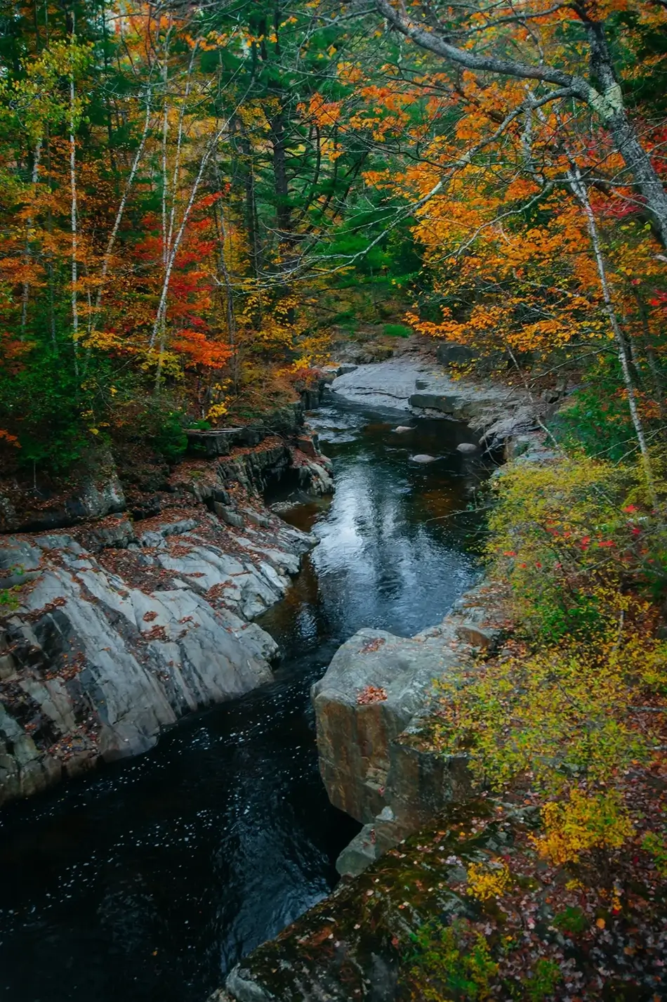 Coos Canyon Crisp Waterfall in Autumn, Byron, Maine · United States