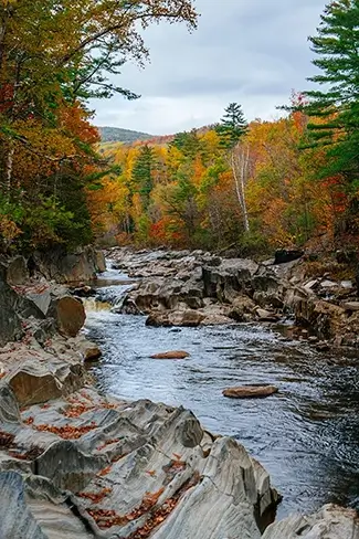 Coos Canyon Stream Whispering Through Autumn, Byron, Maine