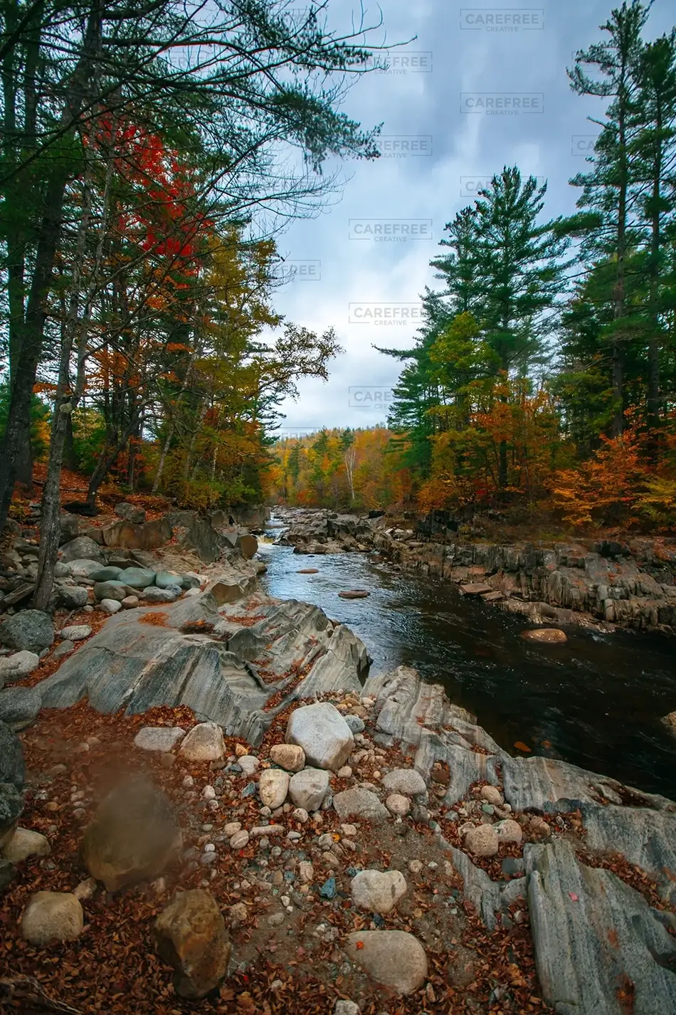 Coos Canyon Stony Riverbank, Byron, Maine · United States