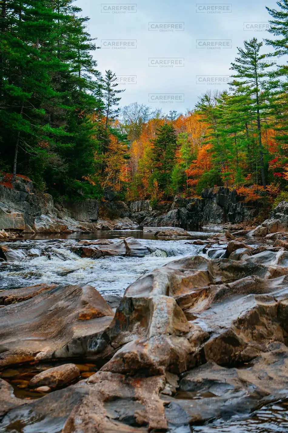 Coos Canyon Rugged Rapids Encircled by Autumn, Byron, Maine · United States