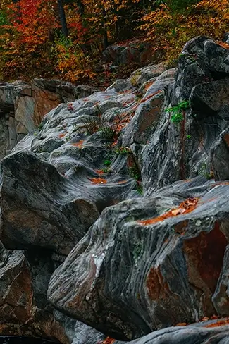 Coos Canyon’s Wet Rocks Glistening Among Fall Leaves, Byron, Maine