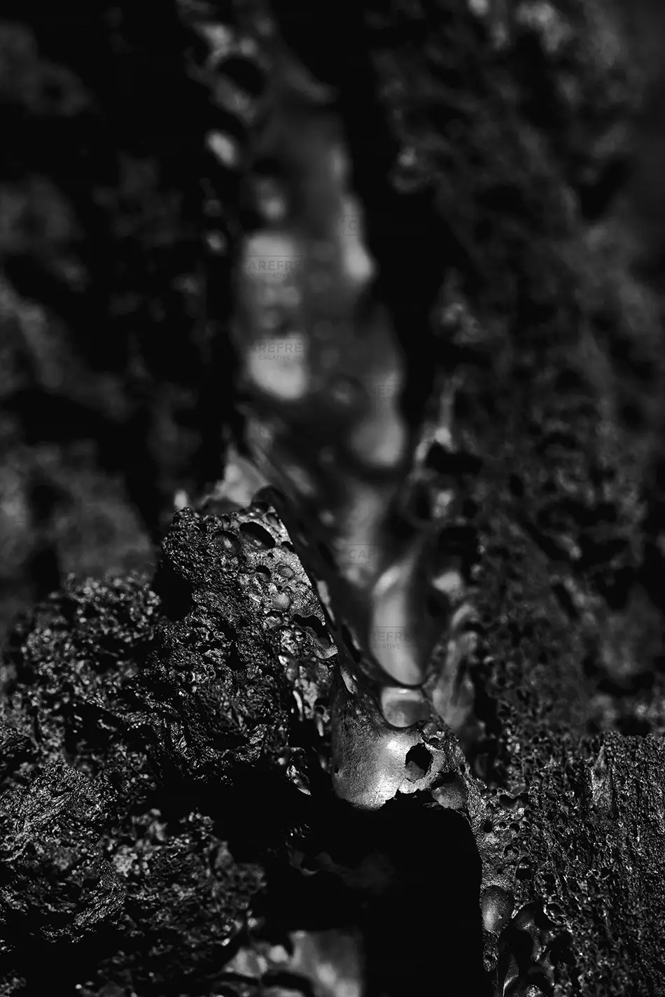 Craters Of The Moon National Monument Volcanic Texture Detail, Arco, Idaho · United States