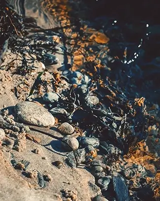 Crescent Beach State Park Pebbles and Seaweed at Water’s Edge, Cape Elizabeth, Maine