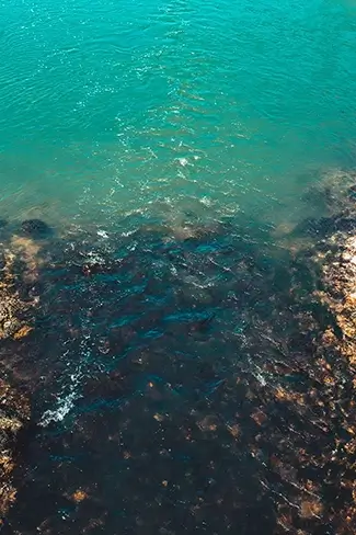 Aqua Colors Of The Ocean, Harpswell, Maine