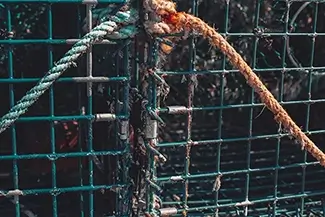 Lobster Trap & Rustic Rope Close Up, Harpswell, Maine