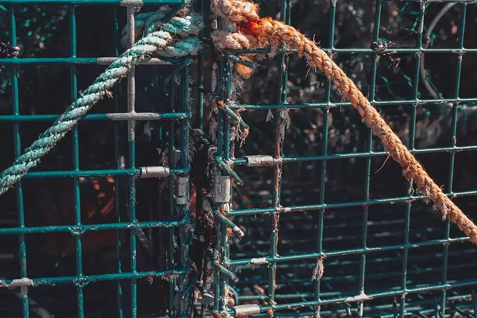 Lobster Trap & Rustic Rope Close Up, Harpswell, Maine · United States