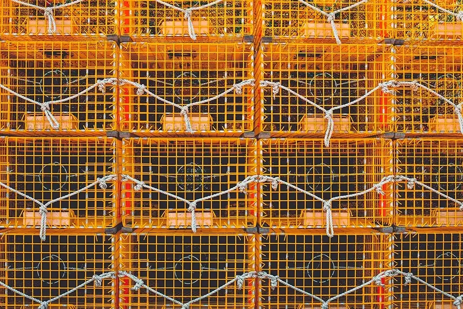 Yellow Lobster Trap Grid, Harpswell, Maine · United States