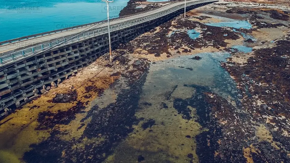 Cribstone Bridge Roadside Tidal Pools, Harpswell, Maine · United States