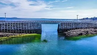 Cribstone Bridge Algal Bloom, Harpswell, Maine