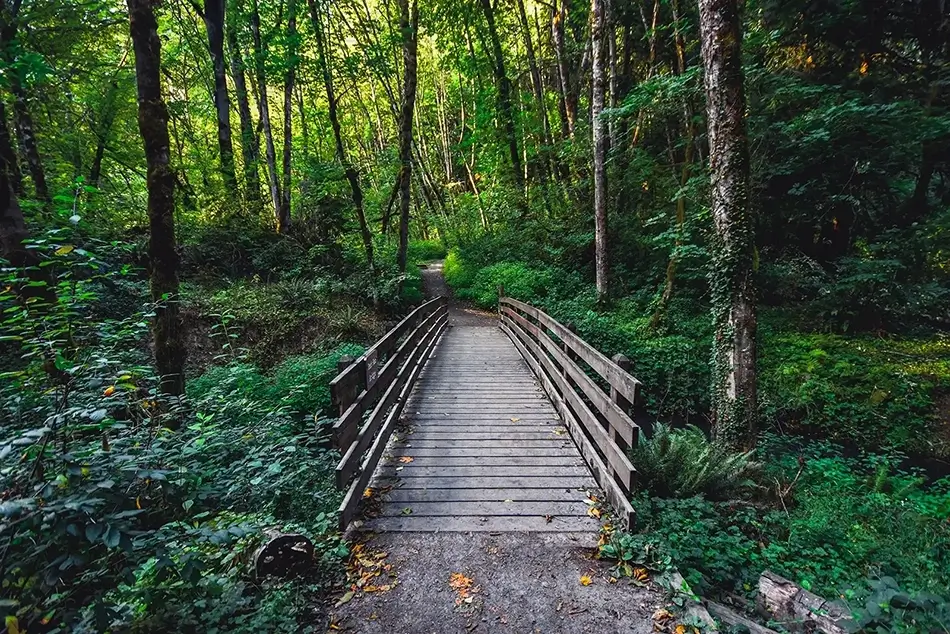 Crystal Springs Creek Wooden Bridge Crossing, Portland, Oregon · United States