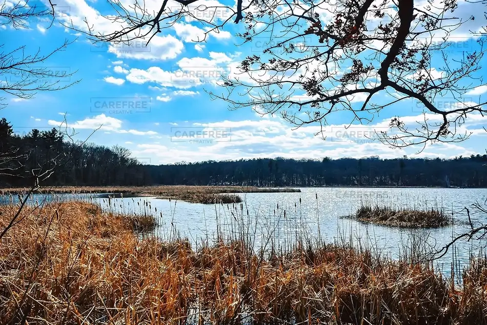 Cutler Park Reservation Lakeside Serenity