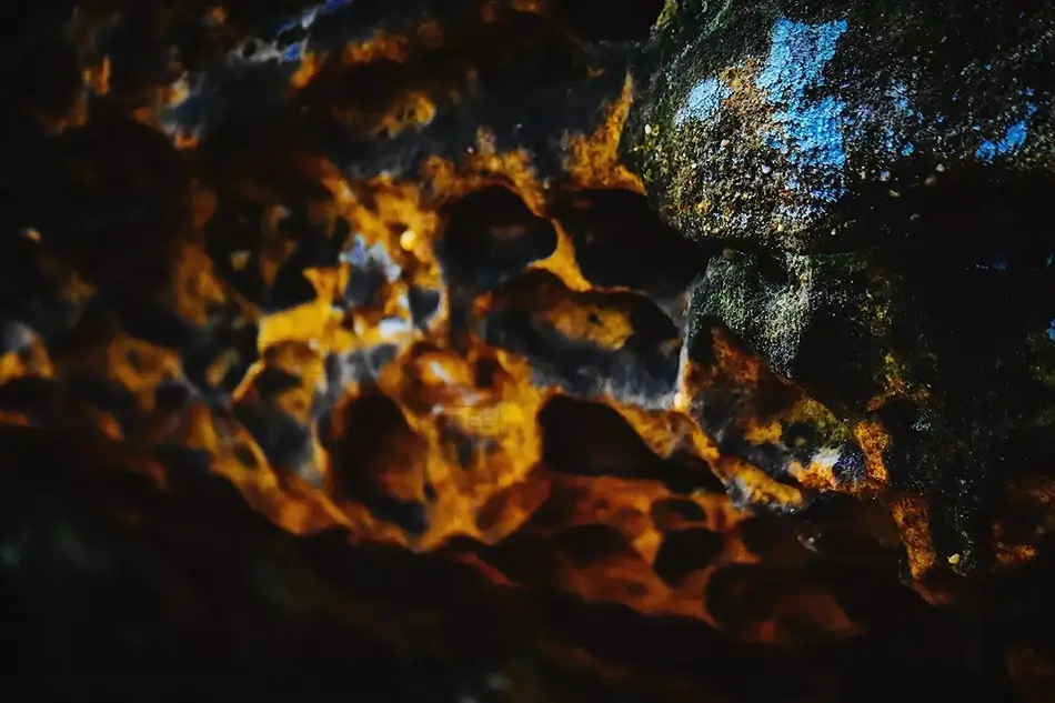 Cuyahoga National Park Textured Cliffside Palette