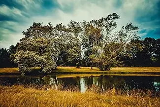Cuyahoga National Park Reflective Pond and Flourishing Trees, Ohio