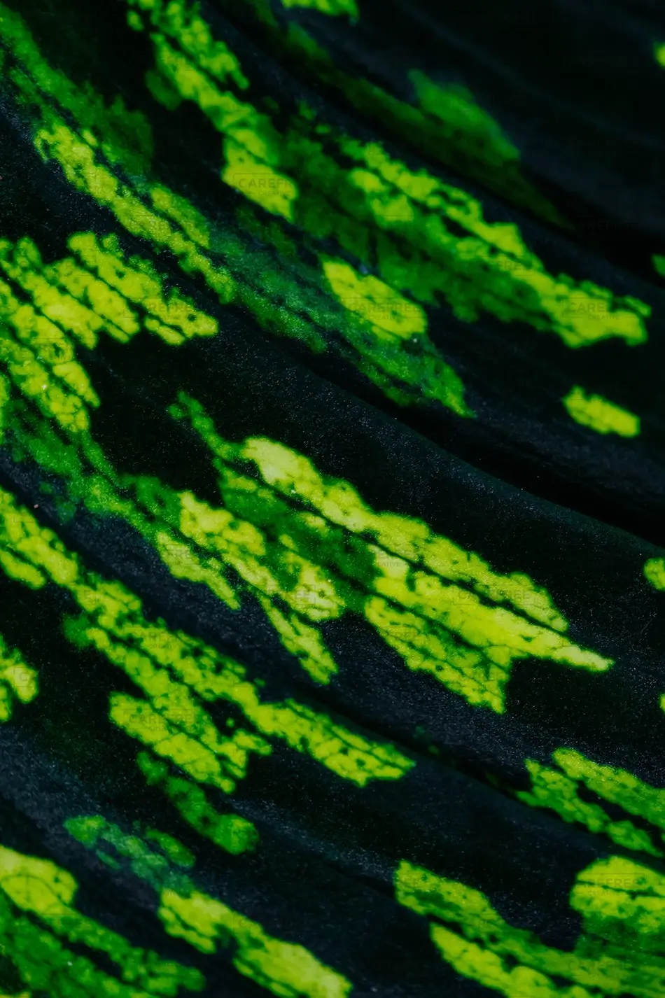 Denver Botanical Garden Variegated Leaf Texture Dark Chartreuse, Denver, Colorado · United States