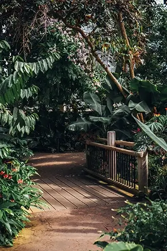 Denver Botanical Garden Lush Green Pathway View, Denver, Colorado