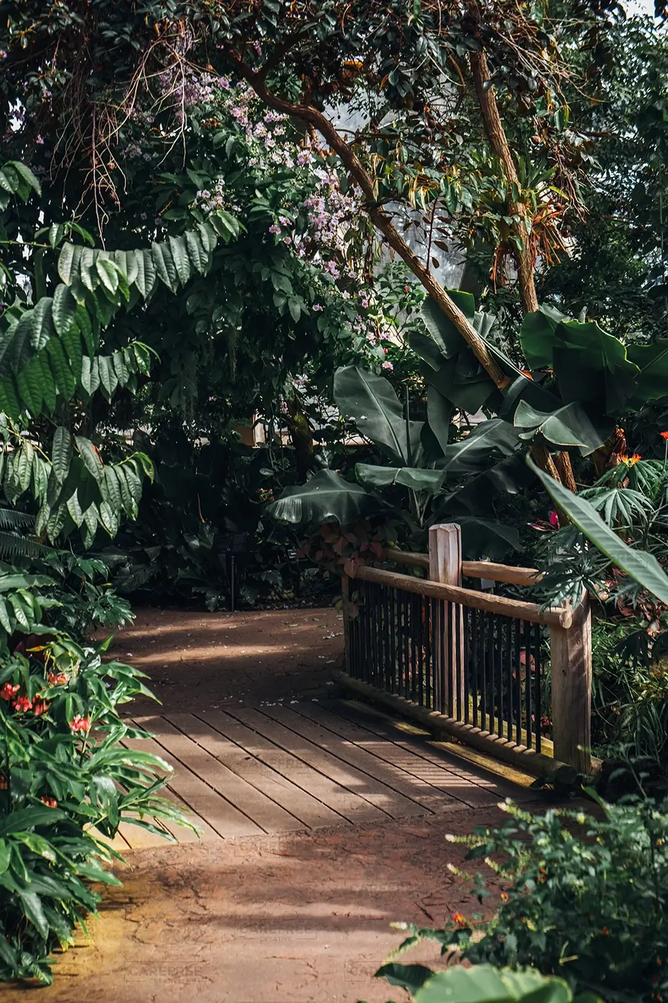 Denver Botanical Garden Lush Green Pathway View, Denver, Colorado · United States