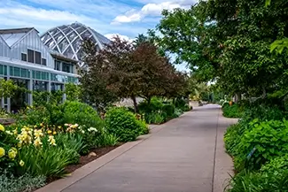 Denver Botanical Garden Pathway Surrounded by Lush Plants, Denver, Colorado