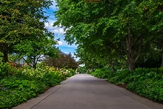 Denver Botanical Gardens Serene Pathway Surrounded by Greenery, Denver, Colorado