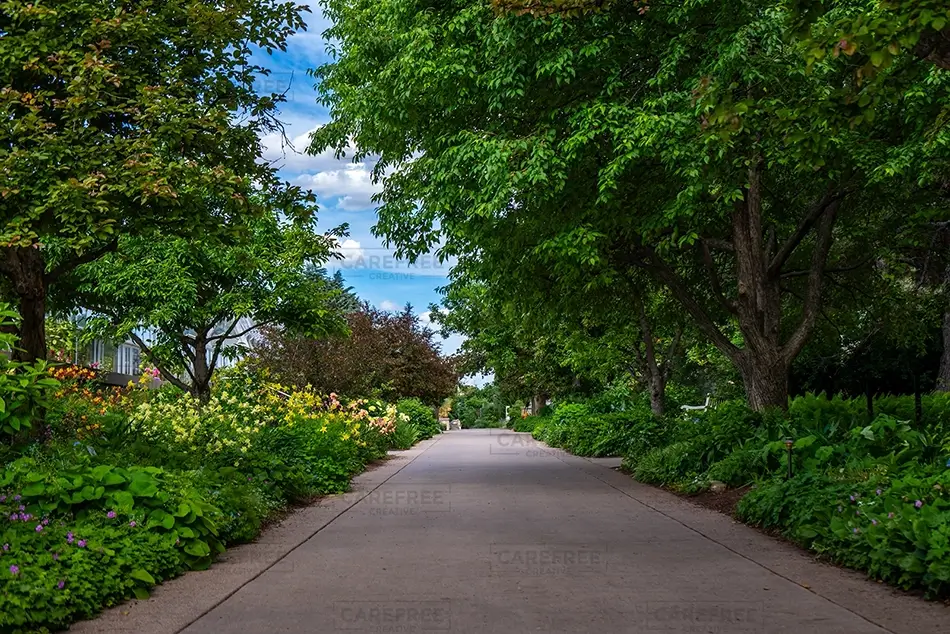 Denver Botanical Gardens Serene Pathway Surrounded by Greenery, Denver, Colorado · United States