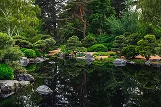 Denver Botanical Garden Tranquil Reflection in Water, Denver, Colorado
