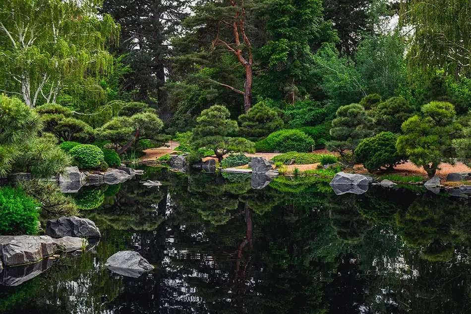 Denver Botanical Garden Tranquil Reflection in Water, Denver, Colorado · United States