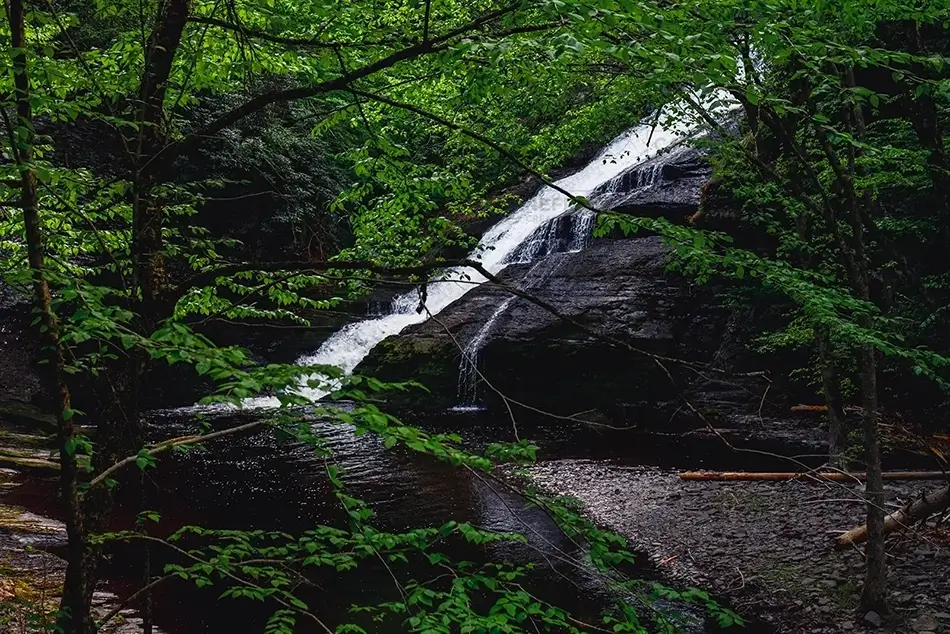 Dingmans Falls Veiled in Green, Dingmans Ferry, Pennsylvania · United States