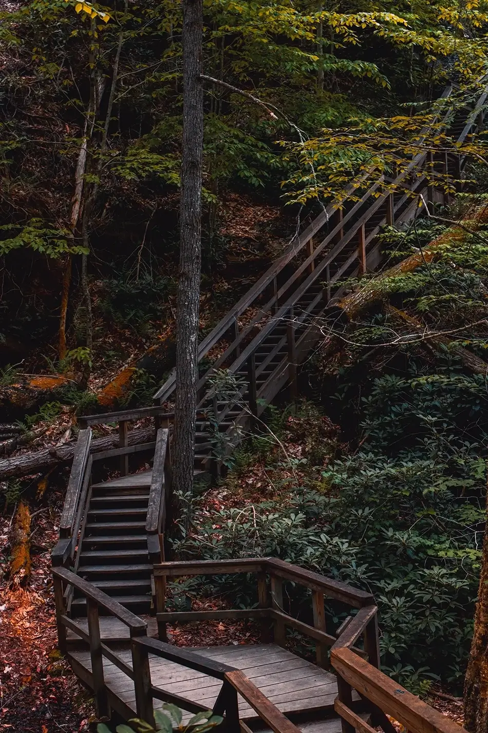Dingmans Falls Journey Downward Through Autumn, Dingmans Ferry, Pennsylvania · United States