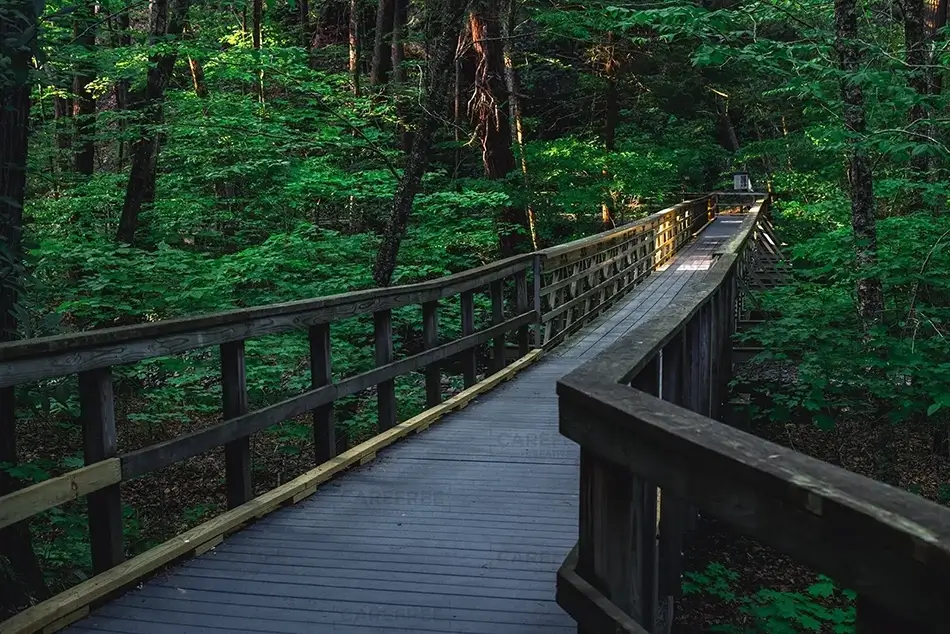 Dingmans Falls Enchanting Wooden Bridge Path, Dingmans Ferry, Pennsylvania · United States