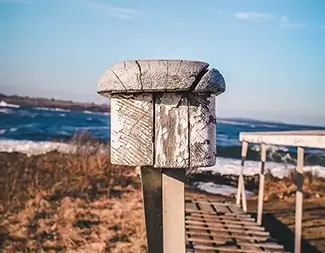East Point Sanctuary Dock Post Macro